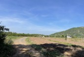 Kẹt tiền Tết, bán gấp gần 1000m2 đất sát chân núi Bà Đen, Ninh Sơn, TP. Tây Ninh, chỉ 540 triệu