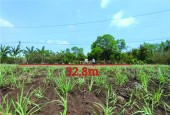 Cần bán lô đất 6033m2 chính chủ tại Xuân Lộc