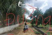 CẦN BÁN GẤP .Em có 2 thửa đất 2000 m2 ở  xã Hưng Lộc, huyện Thống Nhất, tỉnh Đồng Nai
